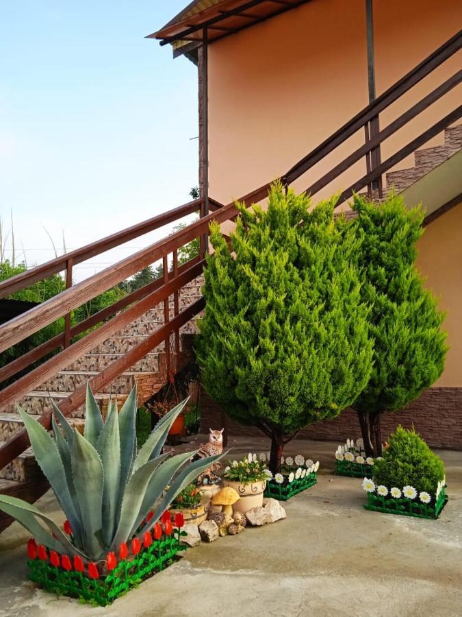 Изабелла Hotel ปิซุนดา ภายนอก รูปภาพ